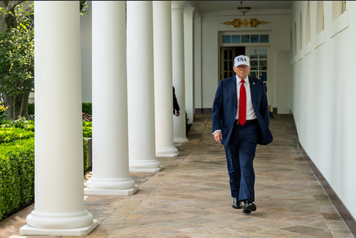 У Німеччині назвали Трампа "Нероном з Вашингтона", а мирний план - "пактом покори"